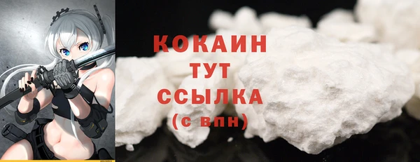 хмурый Кодинск