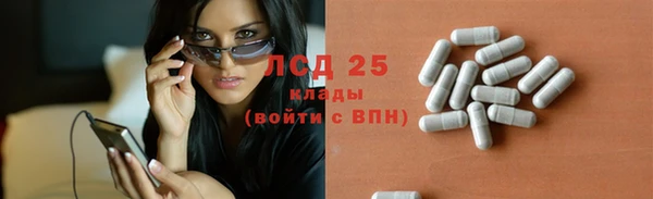 хмурый Кодинск