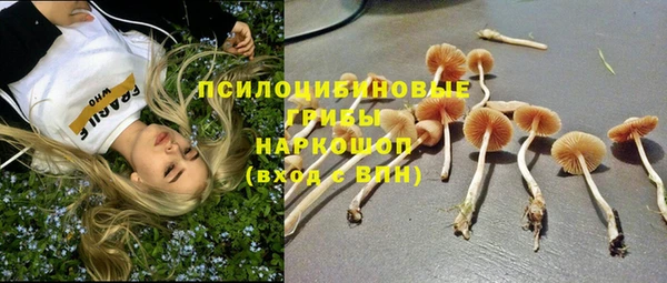 винт Козловка