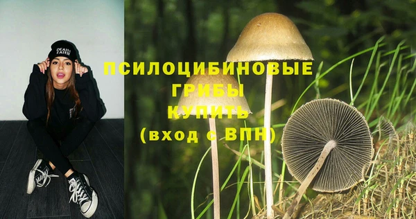 хмурый Кодинск