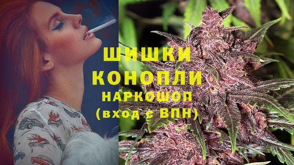 хмурый Кодинск
