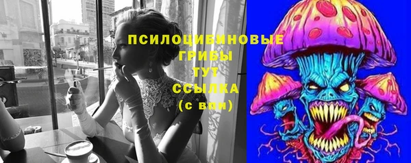 хмурый Кодинск