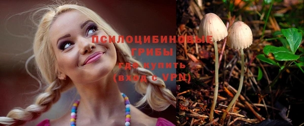хмурый Кодинск