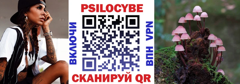Псилоцибиновые грибы Psilocybe  mega ССЫЛКА  Саянск 