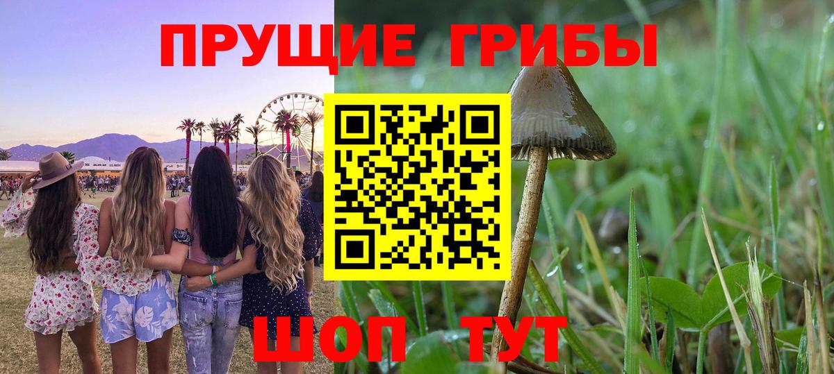 Галлюциногенные грибы прущие грибы Саянск
