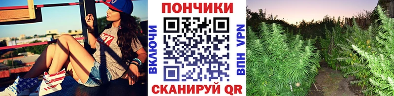 Бошки марихуана тримм  Саянск 